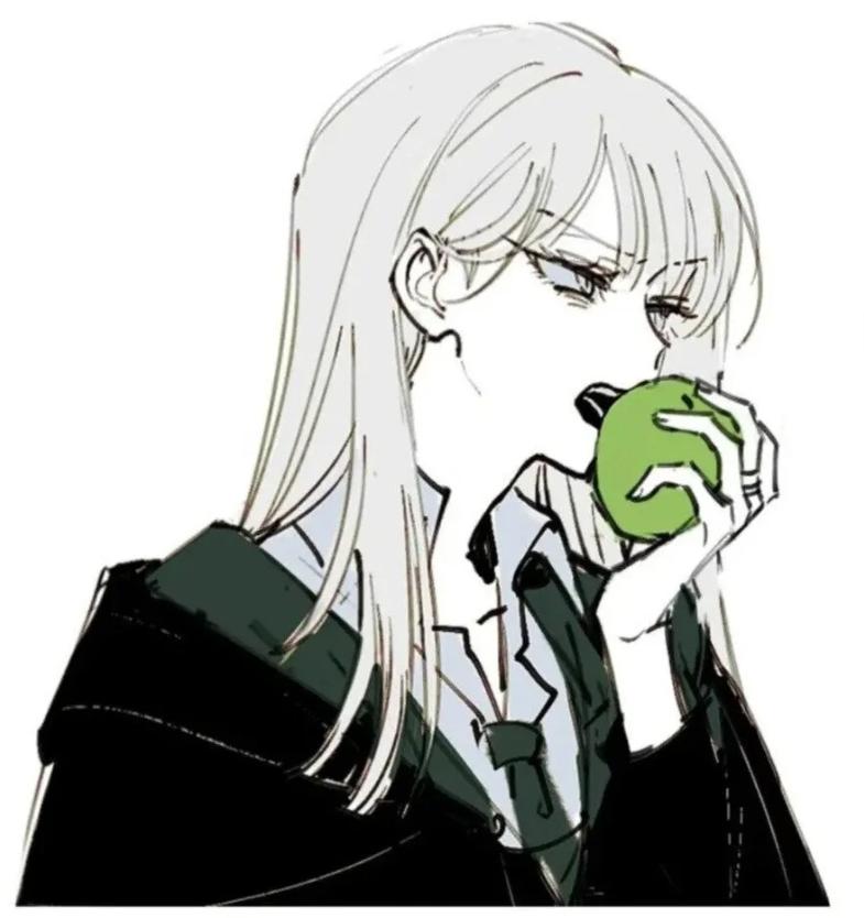 image (12).png