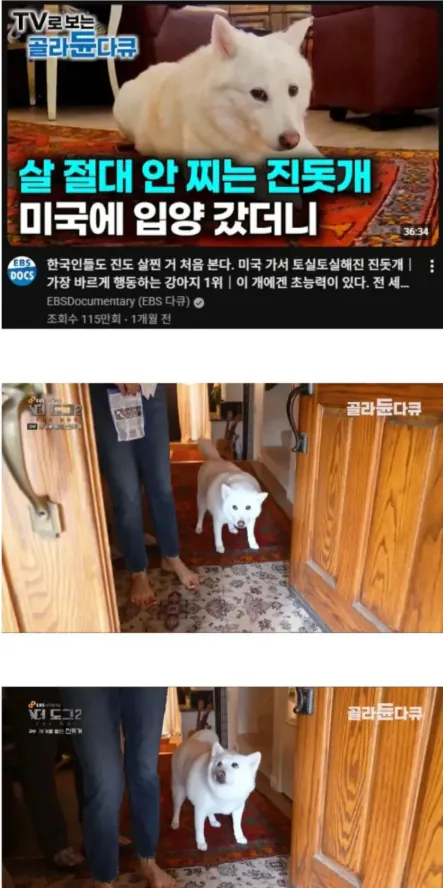 1790837719 (1).webp