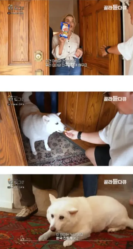 1790837719.webp