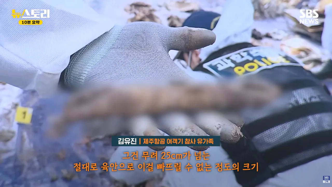 스크린샷(1256).png 무안공항 참사 유족들의 근황