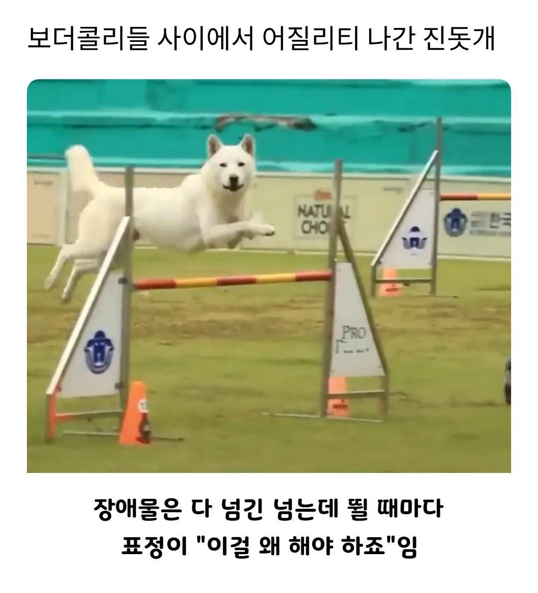 Screenshot_20261004_094656_Instagram.png