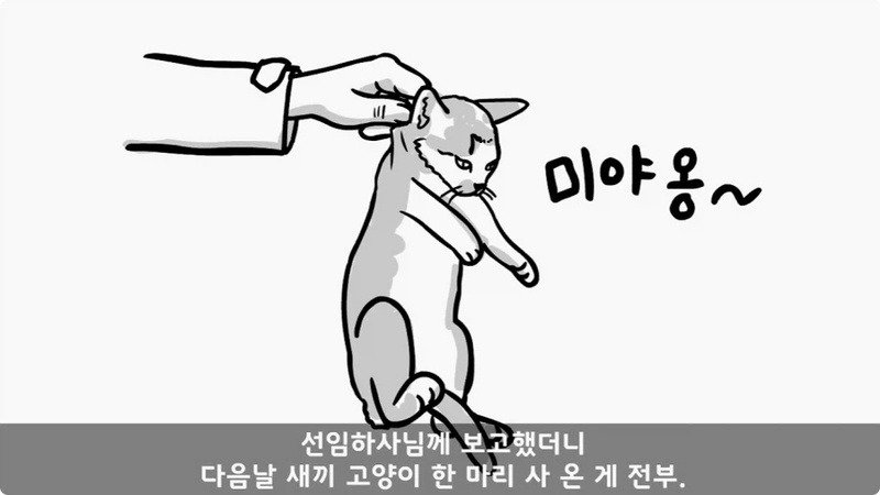 11.webp.jpg