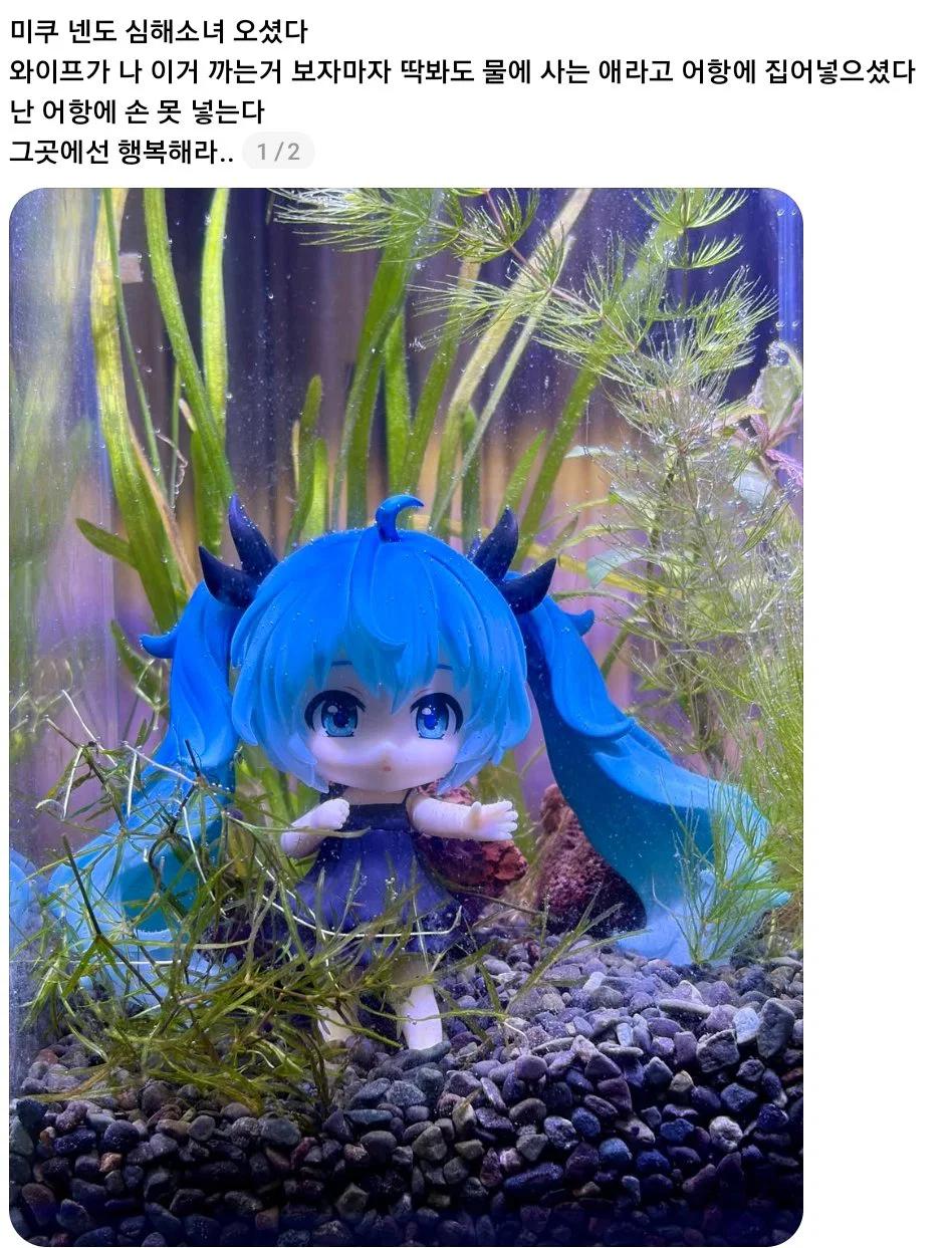 e_s7e4848002_35b5f434303e2970f4510c6e97c82123c8234c09.webp