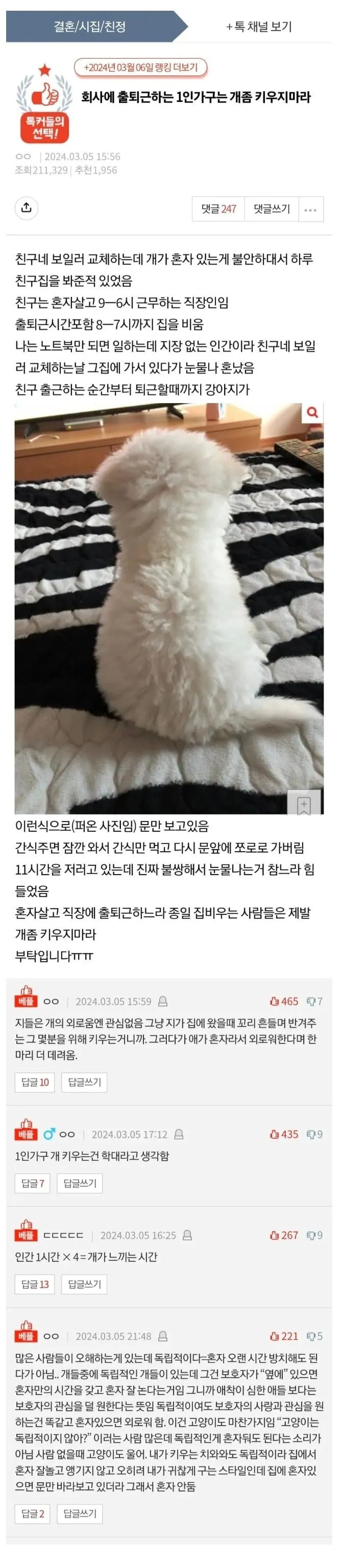 회사에 출퇴근 하는 1인가구는 개 좀 키우지마라
