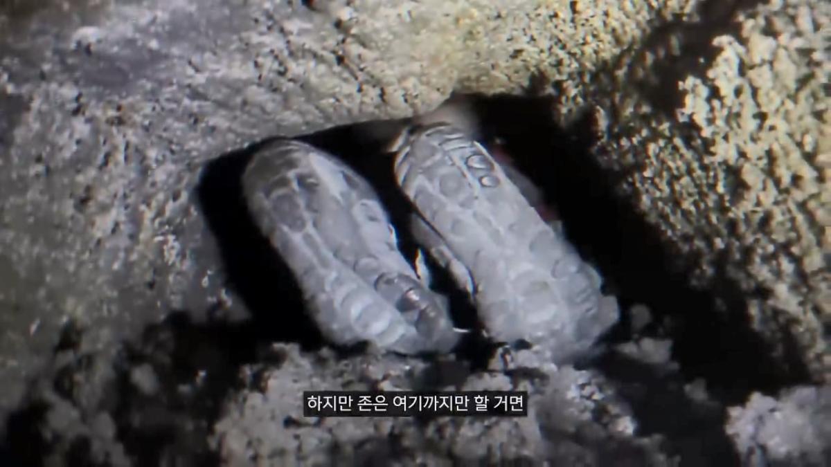 세계에서 가장 유명한 동굴 사고. 27시간을 거꾸로 된 채 구조를 기다린 의대생.mp4_20261008_105039.071.jpg