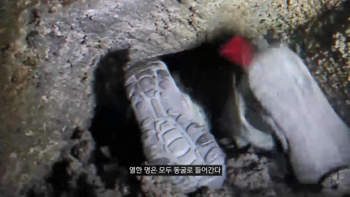 세계에서 가장 유명한 동굴 사고. 27시간을 거꾸로 된 채 구조를 기다린 의대생.mp4_20261008_105023.239.jpg