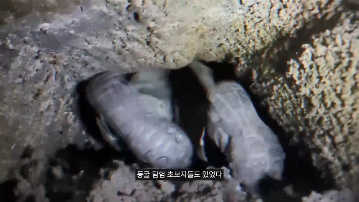 세계에서 가장 유명한 동굴 사고. 27시간을 거꾸로 된 채 구조를 기다린 의대생.mp4_20261008_105029.079.jpg