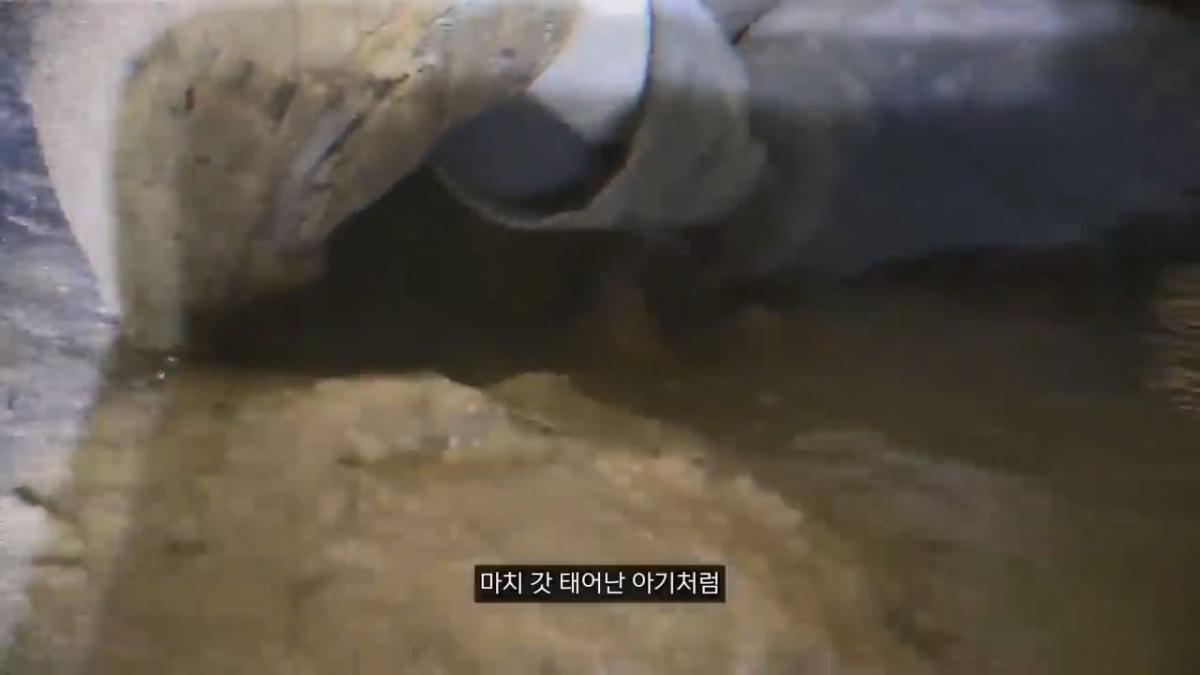 세계에서 가장 유명한 동굴 사고. 27시간을 거꾸로 된 채 구조를 기다린 의대생.mp4_20261008_105103.255.jpg