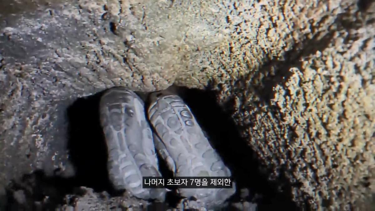 세계에서 가장 유명한 동굴 사고. 27시간을 거꾸로 된 채 구조를 기다린 의대생.mp4_20261008_105043.695.jpg