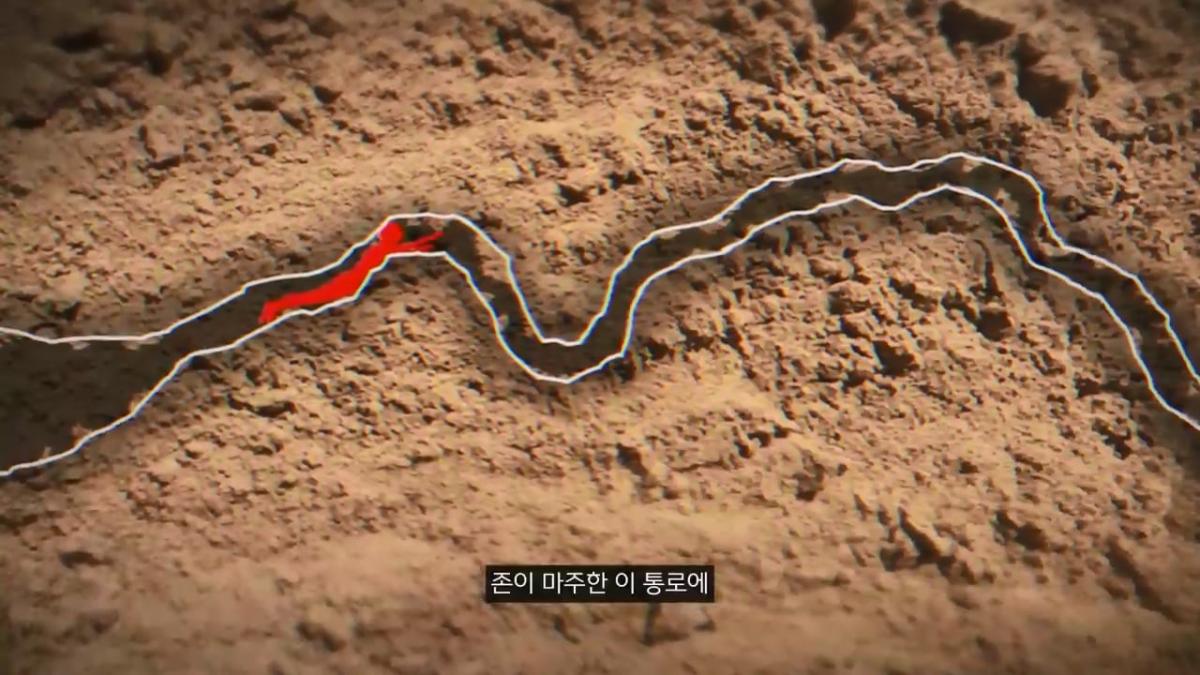 세계에서 가장 유명한 동굴 사고. 27시간을 거꾸로 된 채 구조를 기다린 의대생.mp4_20261008_105204.871.jpg