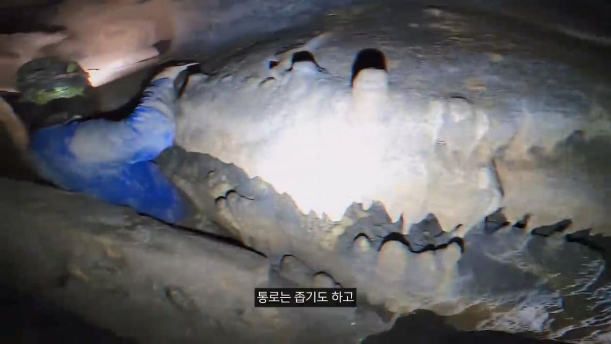 세계에서 가장 유명한 동굴 사고. 27시간을 거꾸로 된 채 구조를 기다린 의대생.mp4_20261008_105154.543.jpg