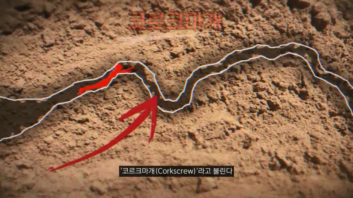세계에서 가장 유명한 동굴 사고. 27시간을 거꾸로 된 채 구조를 기다린 의대생.mp4_20261008_105209.823.jpg