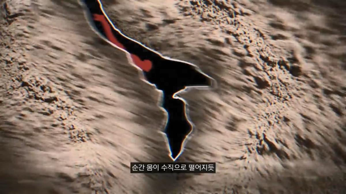 세계에서 가장 유명한 동굴 사고. 27시간을 거꾸로 된 채 구조를 기다린 의대생.mp4_20261008_105437.399.jpg