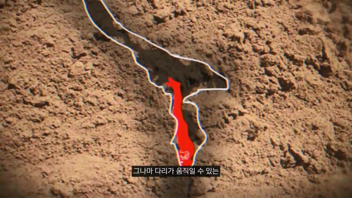 세계에서 가장 유명한 동굴 사고. 27시간을 거꾸로 된 채 구조를 기다린 의대생.mp4_20261008_105638.814.jpg