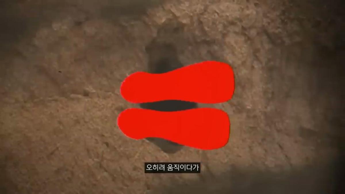 세계에서 가장 유명한 동굴 사고. 27시간을 거꾸로 된 채 구조를 기다린 의대생.mp4_20261008_105646.031.jpg