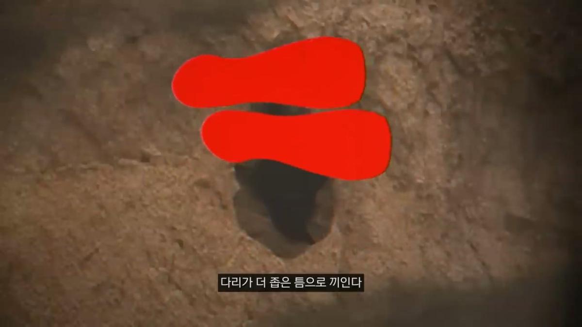 세계에서 가장 유명한 동굴 사고. 27시간을 거꾸로 된 채 구조를 기다린 의대생.mp4_20261008_105647.727.jpg