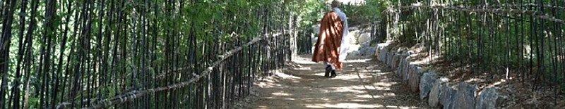 1791447041d8f76c51f57a4034bbddf5a95d276889__w800__h155__f47709__Ym202610.jpg