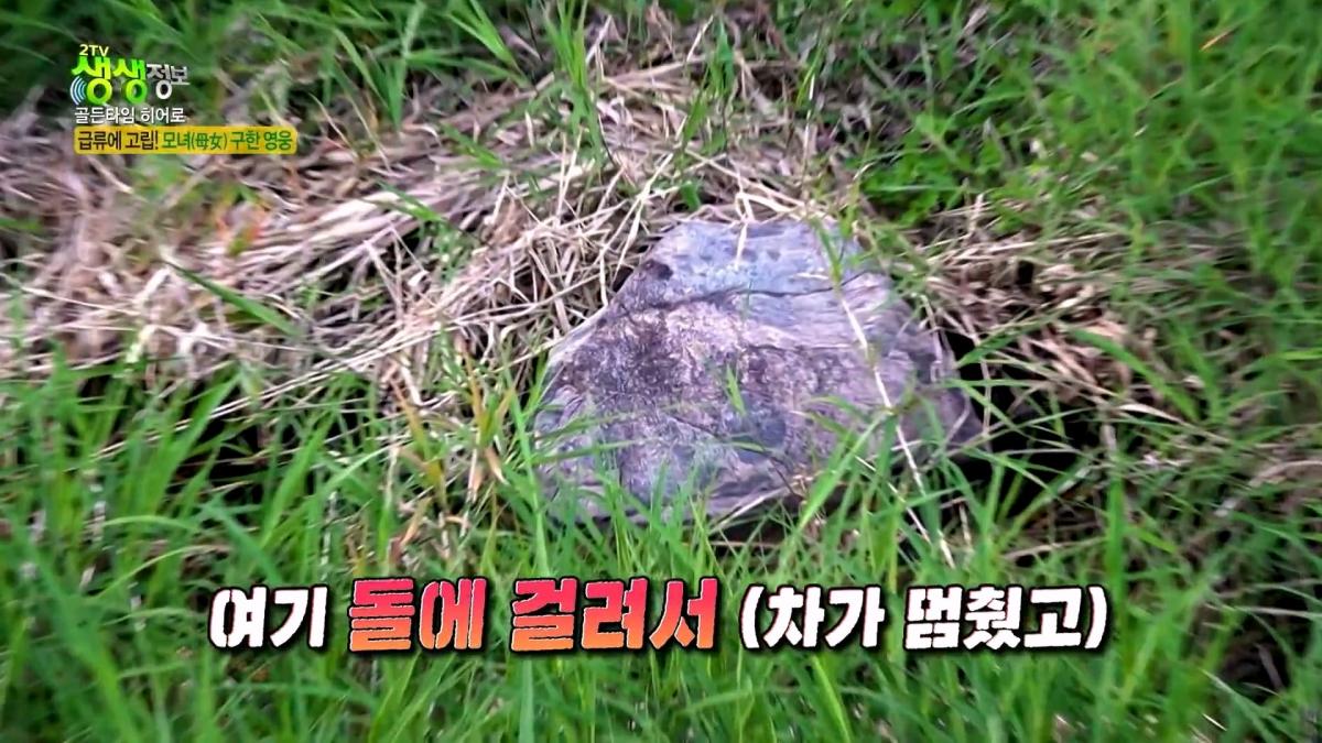 급류에 떠내려가는 승용차! 위기 속 등장한 영웅의 정체는_ [2TV 생생정보] KBS 261007 방송_20261009_102609.486.jpg