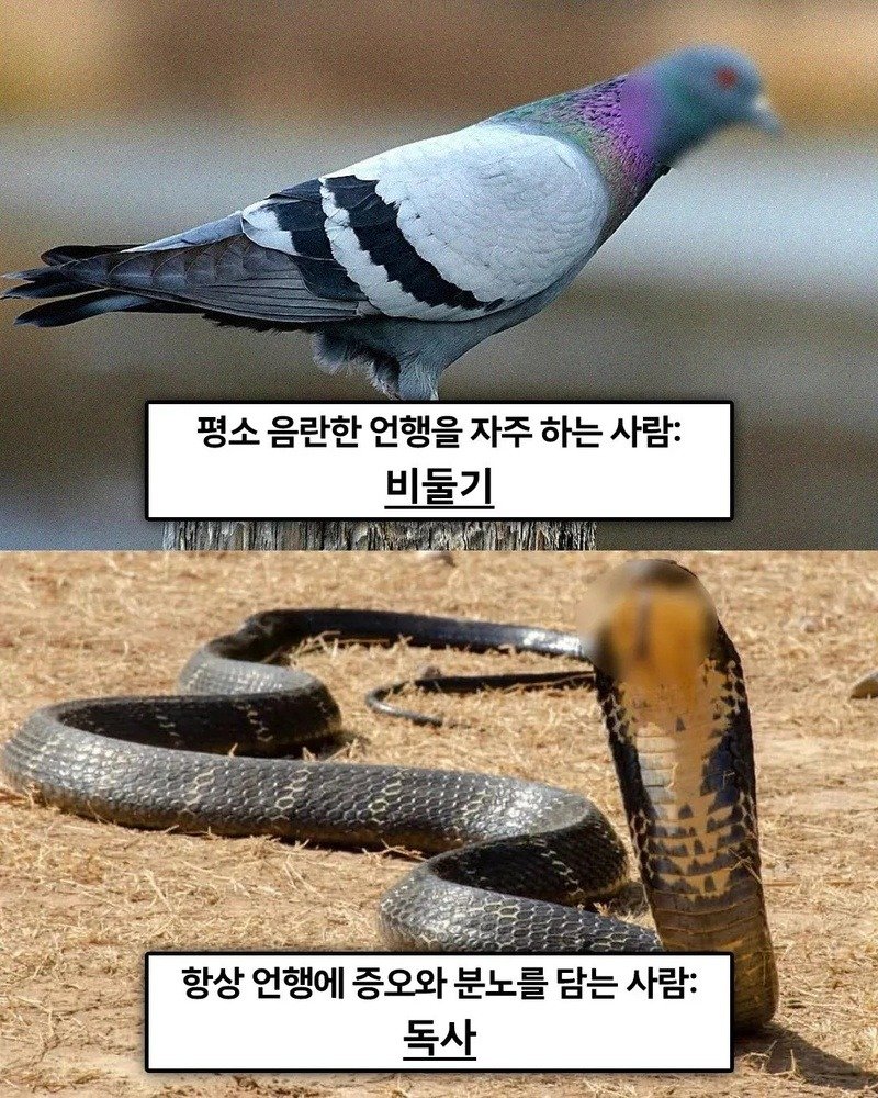 01.webp.jpg