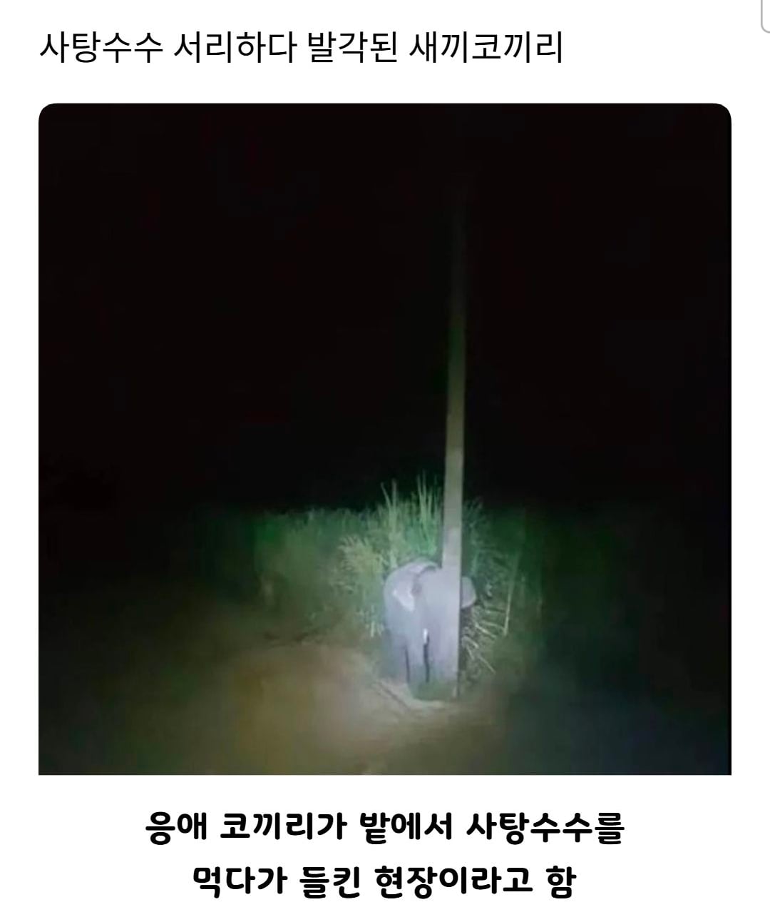 Screenshot_20261012_174308_Instagram.jpg