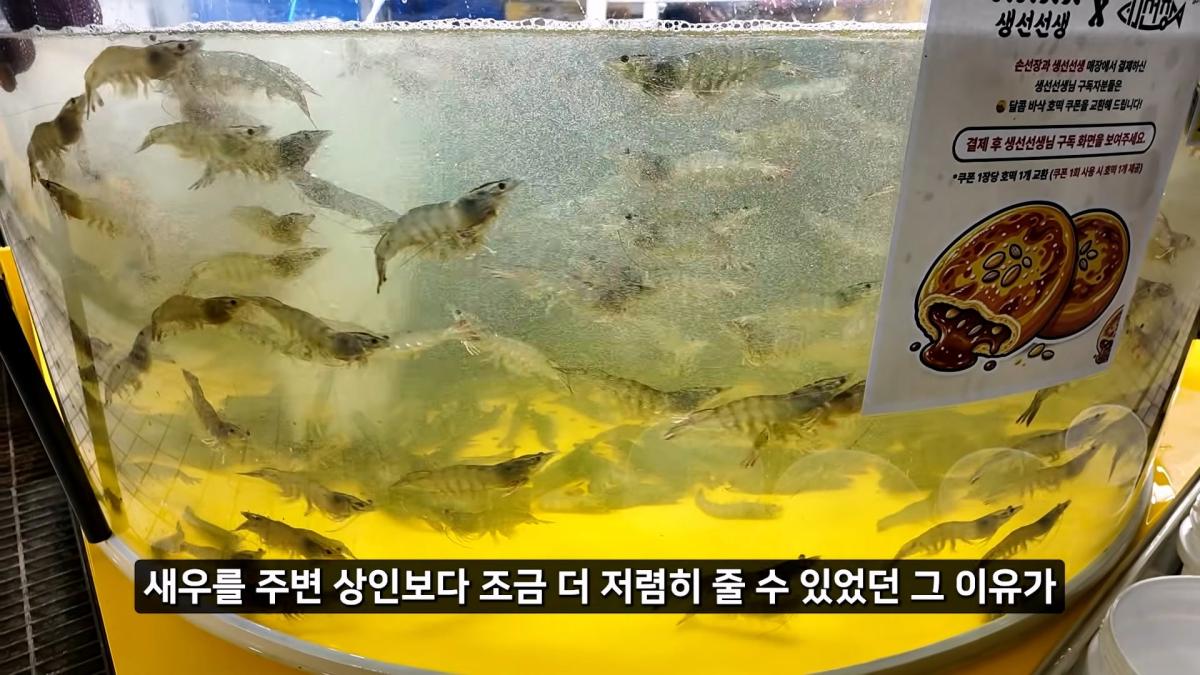정직한 줄 알았지_ 소래포구 종합어시장 근황_20261012_213453.891.jpg