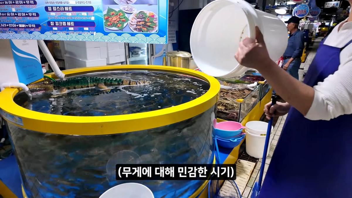 정직한 줄 알았지_ 소래포구 종합어시장 근황_20261013_003233.354.jpg