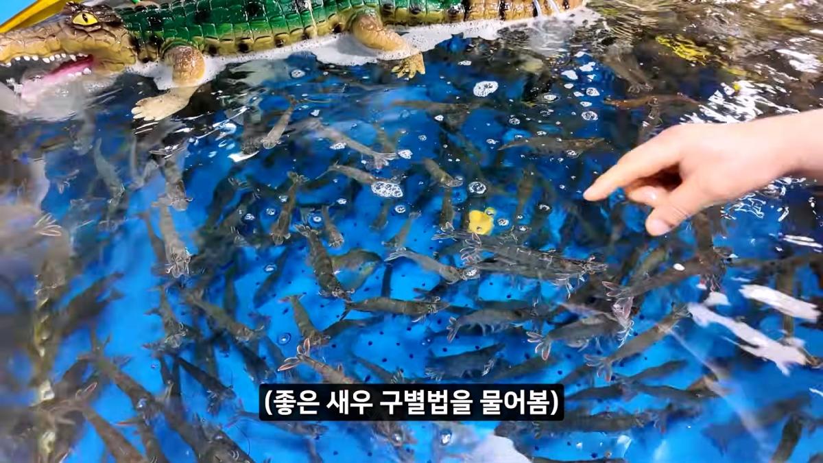 정직한 줄 알았지_ 소래포구 종합어시장 근황_20261013_003436.547.jpg
