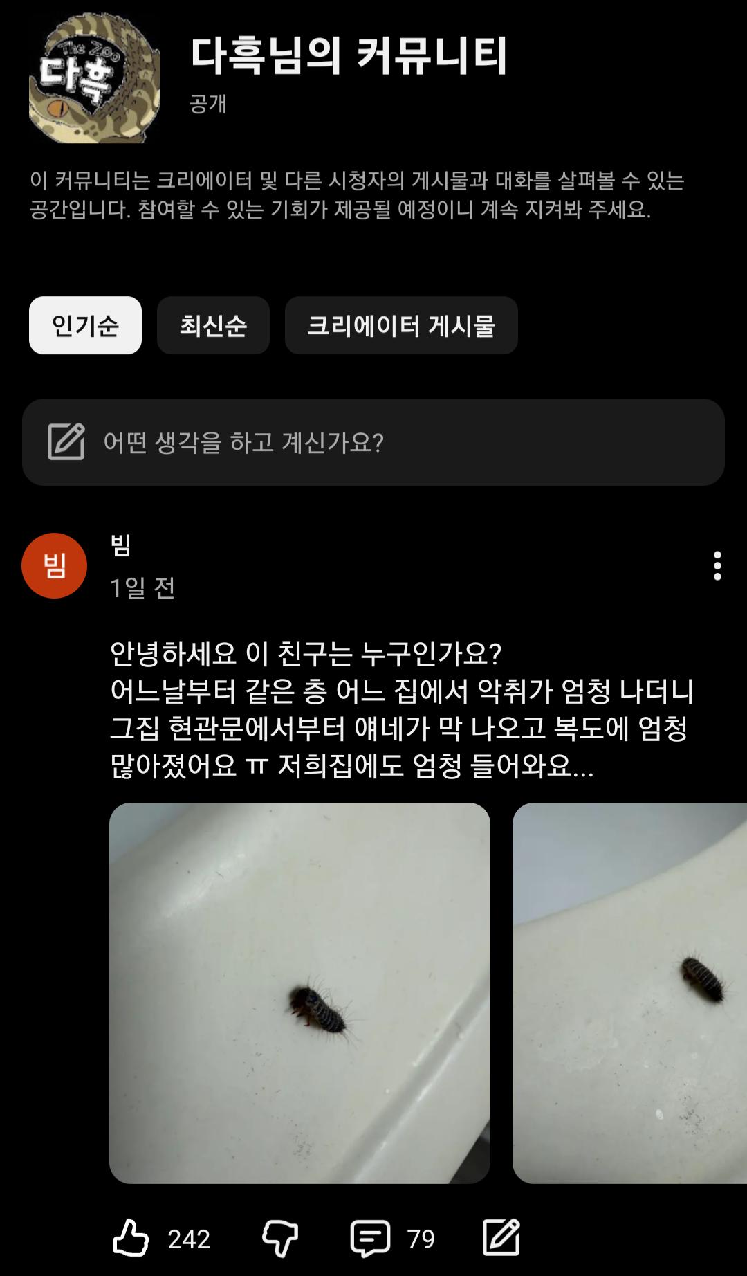 Screenshot_20261014_211301_YouTube Morphe.png