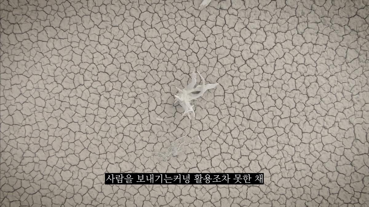 Screenshot_20261015_123814_Samsung Internet(1).png