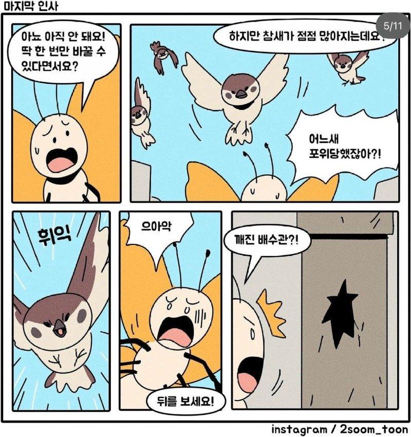 05.jpg