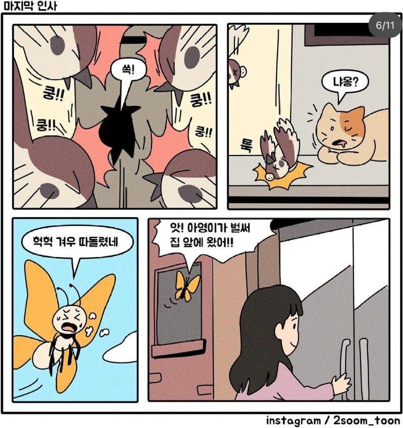06.jpg