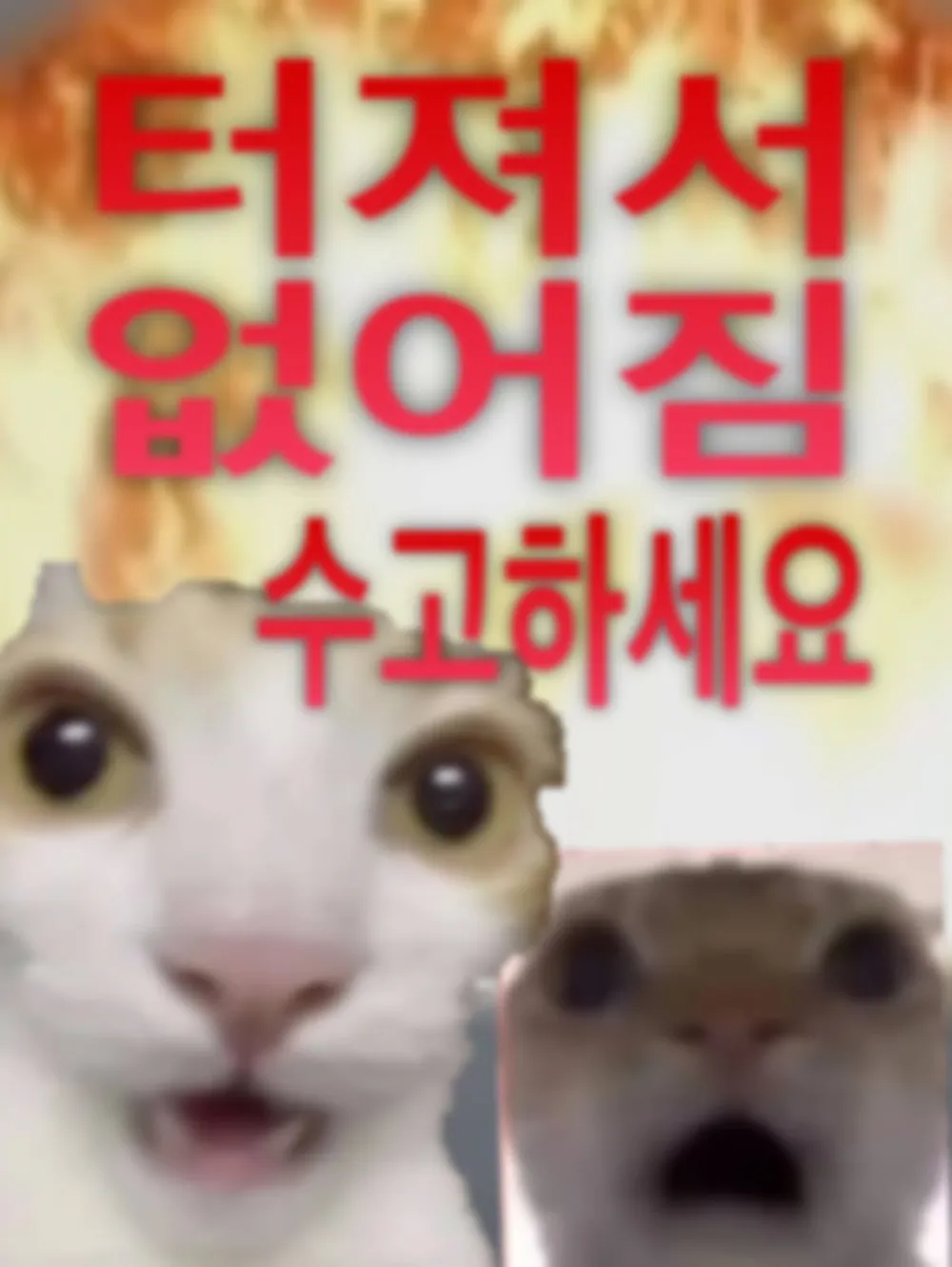 1a143736ed03267e2.webp