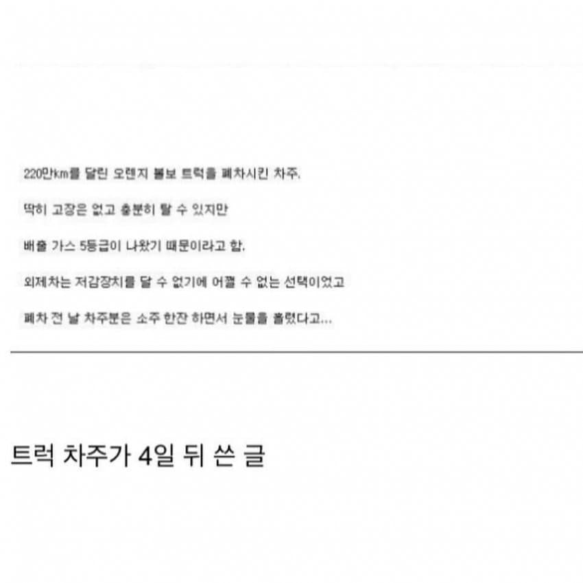 singlebungle1472-20261017-160132-002-resize.jpg
