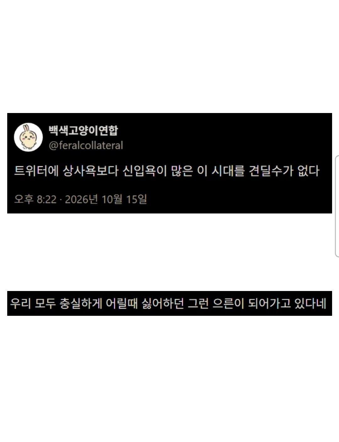 179223091934f785c2edf94e12bf94dc73edbafbee__w1080__h1408__f50614__Ym202610.jpg