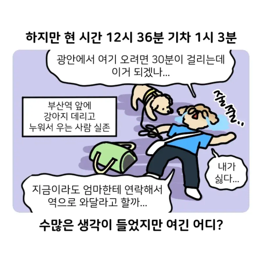 13.webp