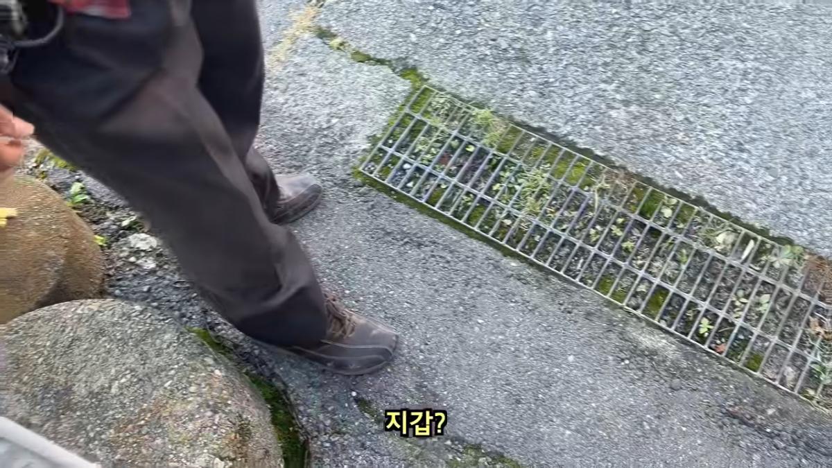 일본 여행 중에 160만원을 주웠습니다 7-14 screenshot.png