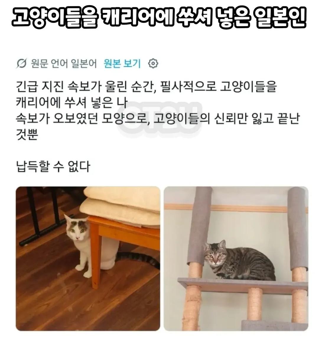 Screenshot_20261019_173658_Instagram.png