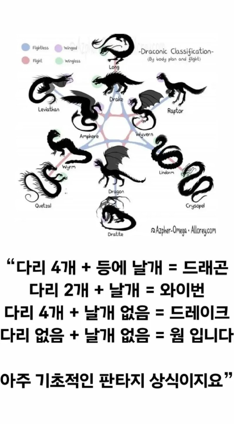 03.webp.jpg