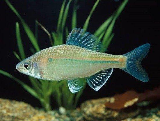 11.jfif