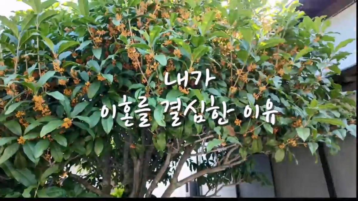 제가 싱글아빠가 된 이유, 처음으로 이야기합니다.mp4_20261022_172536.410.jpg