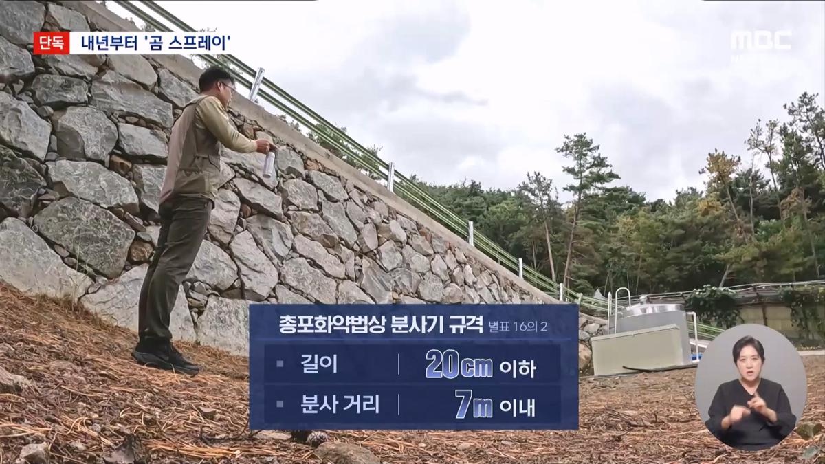 [단독] 지리산 반달곰 100마리 시대‥내년부터 '곰 스프레이' 도입 (2026.10.22 뉴스데스크 MBC).mp4_20261023_014440.218.jpg