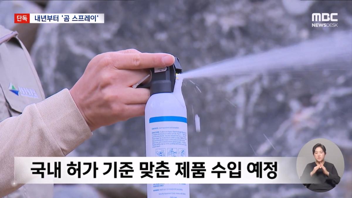 [단독] 지리산 반달곰 100마리 시대‥내년부터 '곰 스프레이' 도입 (2026.10.22 뉴스데스크 MBC).mp4_20261023_014442.116.jpg