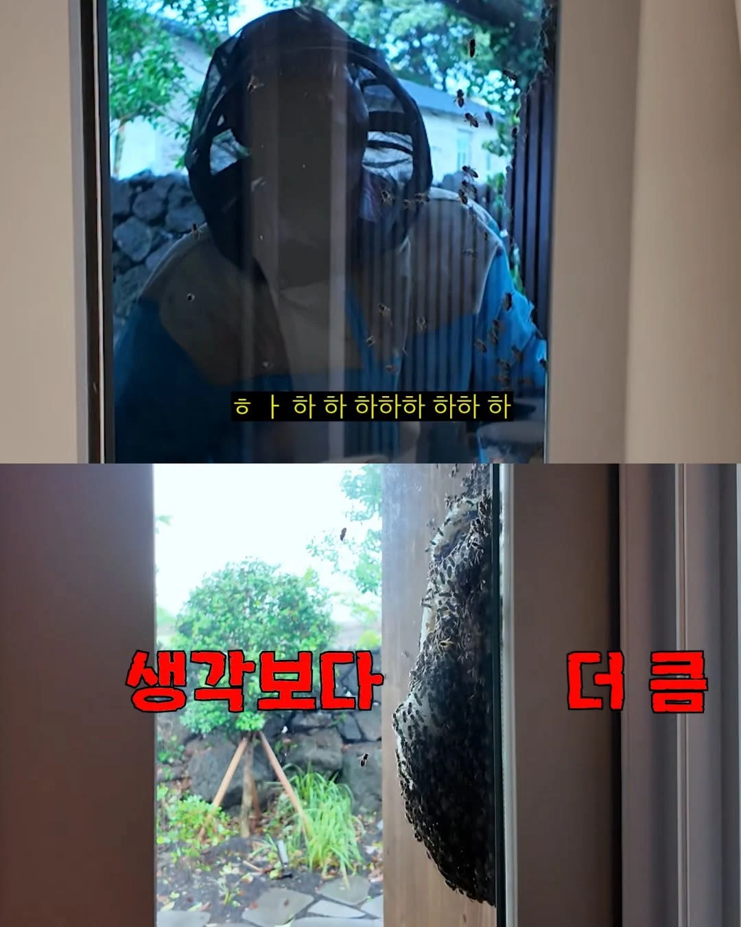 2주만에 제주도 집 갔다 119 부른 김숙