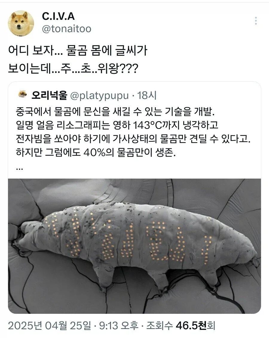 17929218734417b78a8df845a6a48d23d179f2da33__w900__h1132__f93586__Ym202610.webp