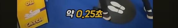화면 캡처 2025-06-13 151701.png