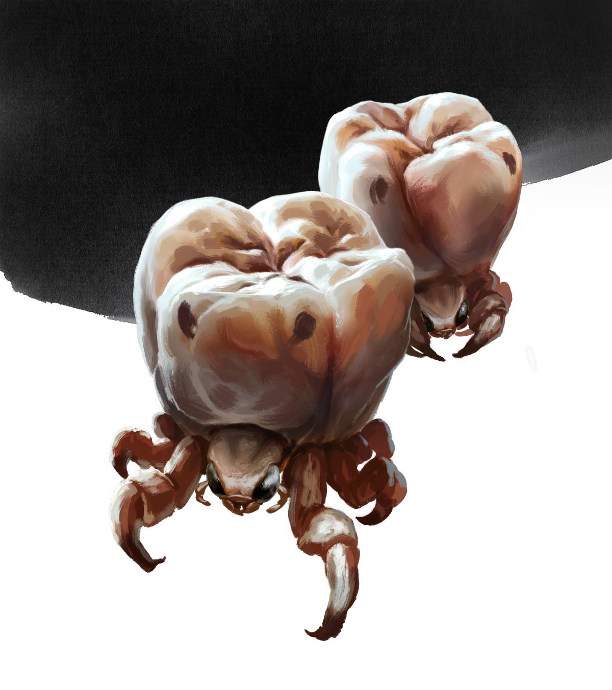 백색충2 copy.jpg
