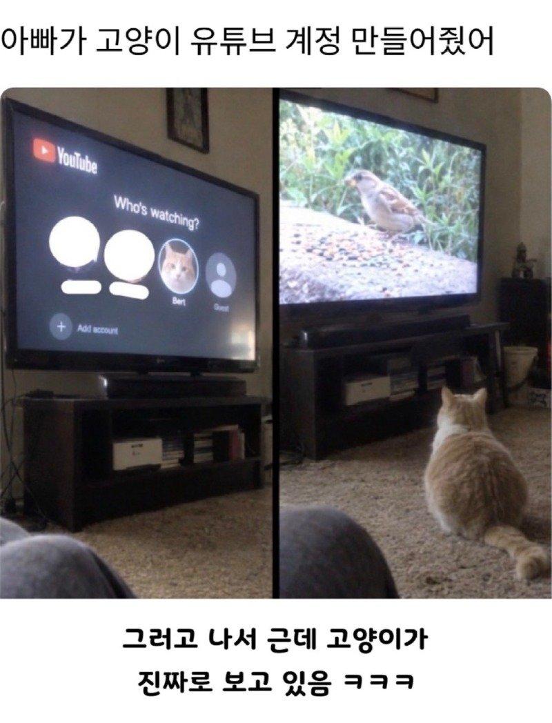 02.jpg