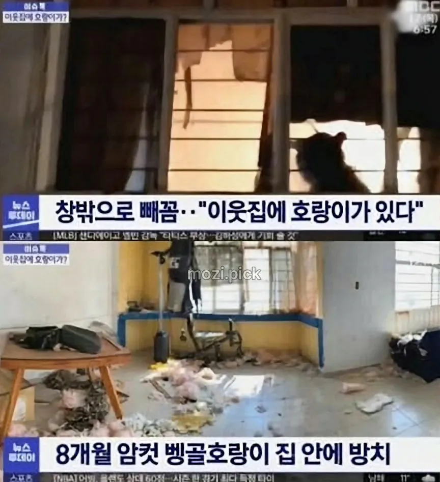 2.jpeg 그림자 보고 집에 호랑이 있다고 신고.jpg
