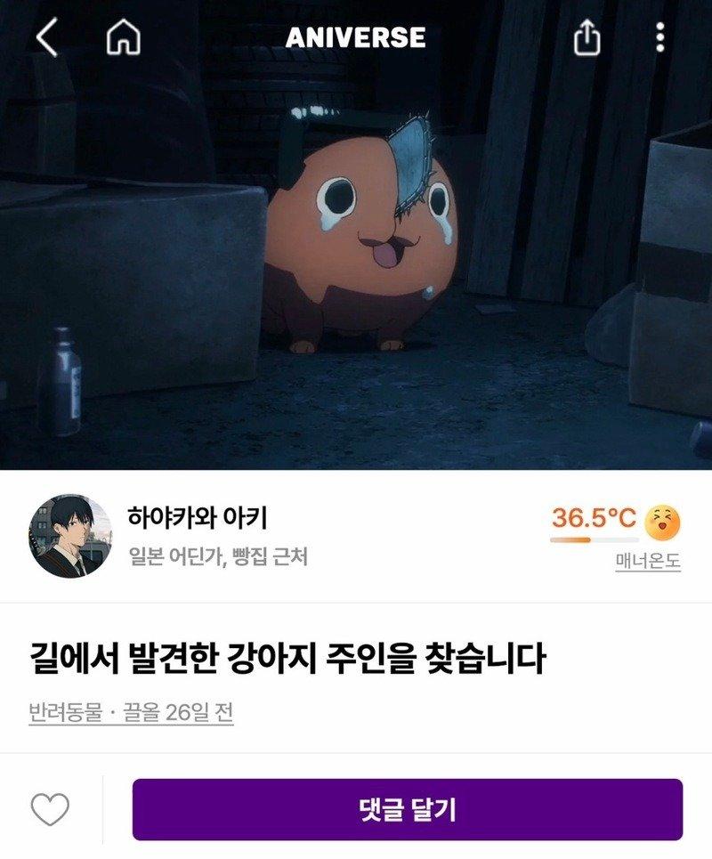 06.jpg